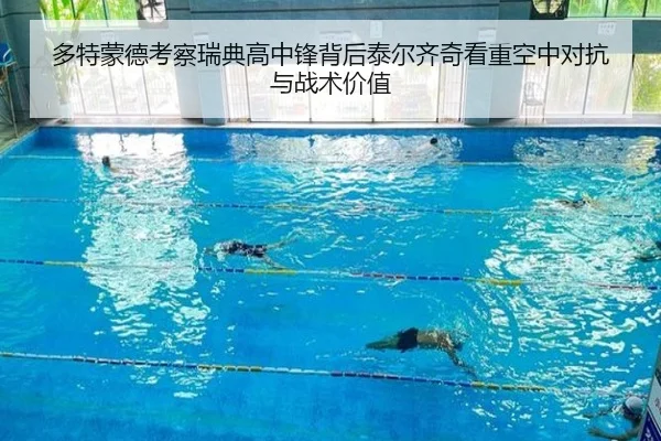 多特蒙德考察瑞典高中锋背后泰尔齐奇看重空中对抗与战术价值